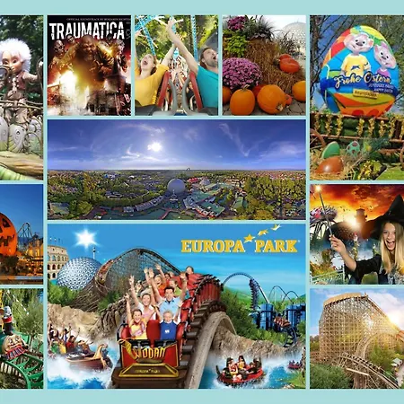 Dom wakacyjny Le N26 - Climatise Proche Europa-park